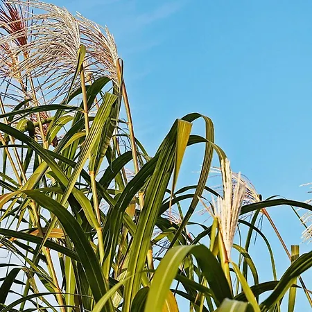 24 Person In Hasselberg